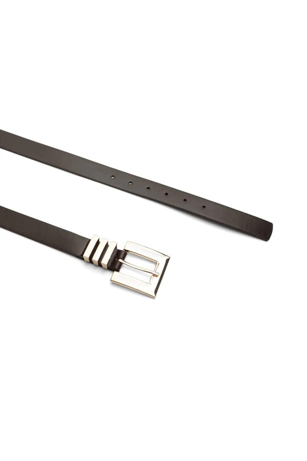 Dark Brown Gold Buckle Belt